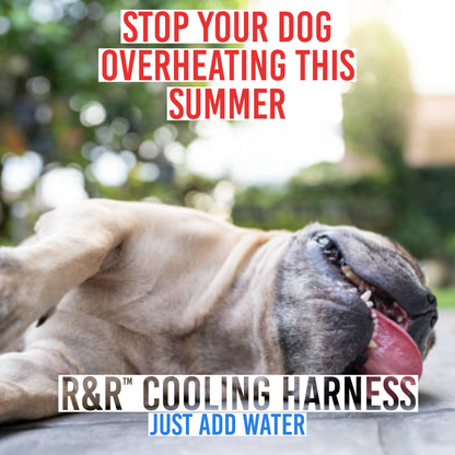 R&R™ Cooling harness