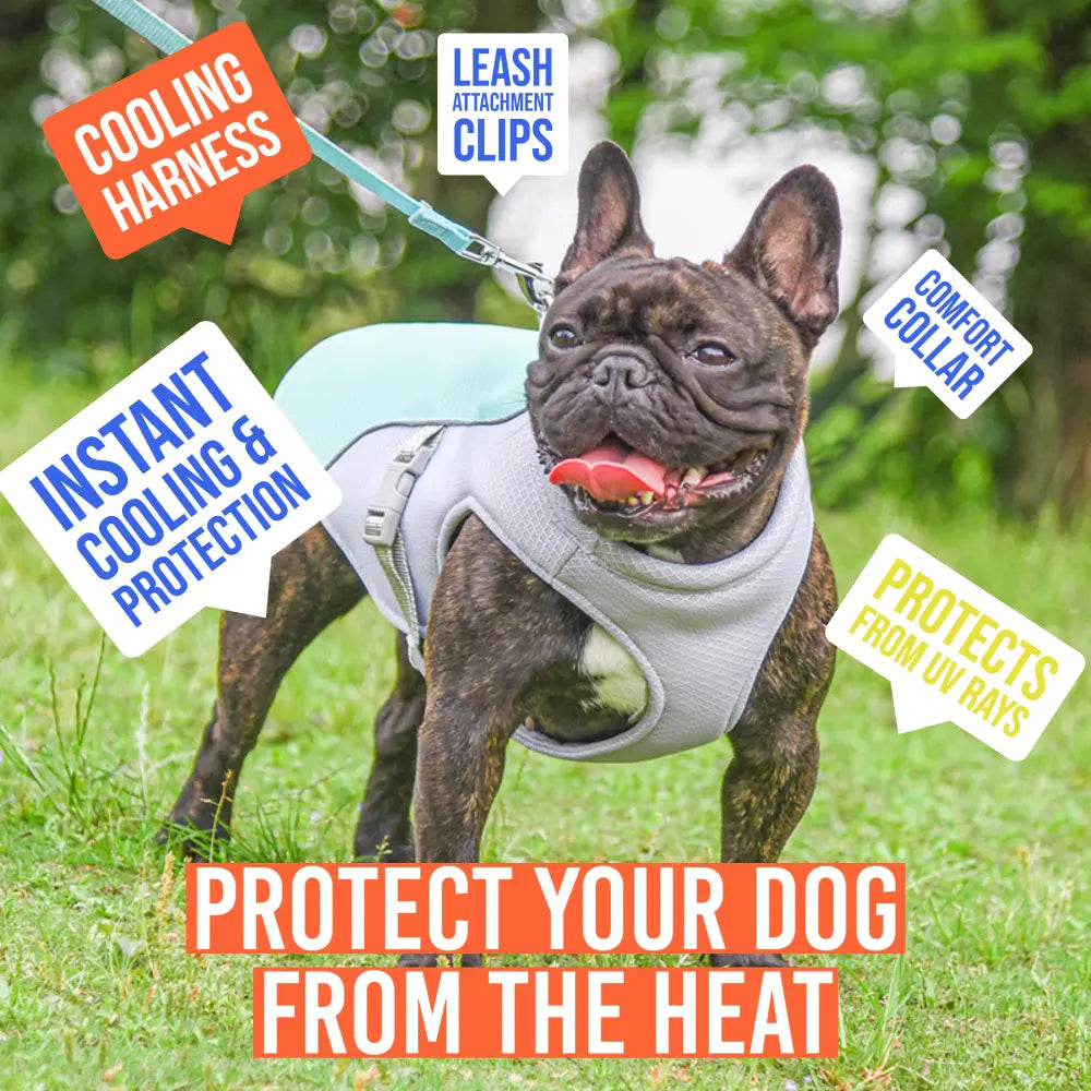 R&R™ Cooling harness Best Seller! Limited Stock Available