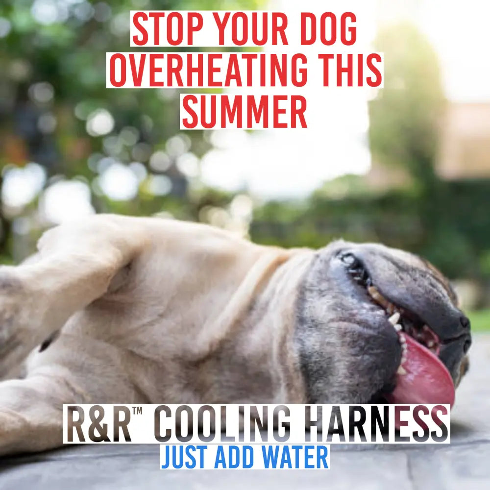 R&R™ Cooling harness Best Seller! Limited Stock Available