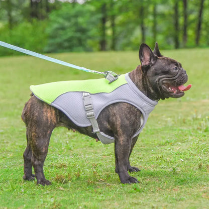 R&R™ Cooling harness Best Seller! Limited Stock Available