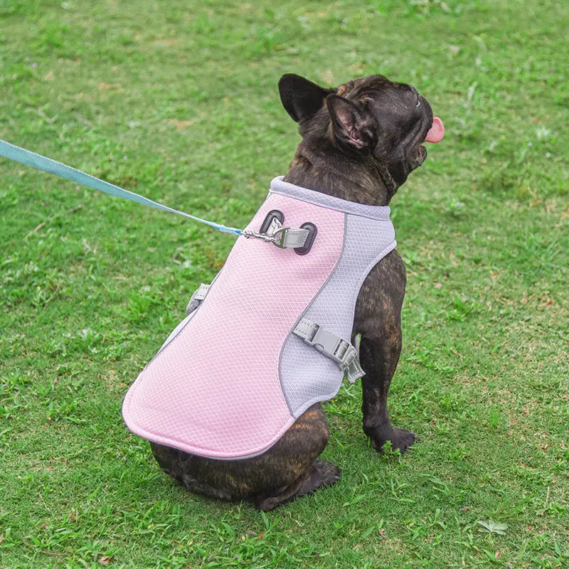 R&R™ Cooling harness Best Seller! Limited Stock Available