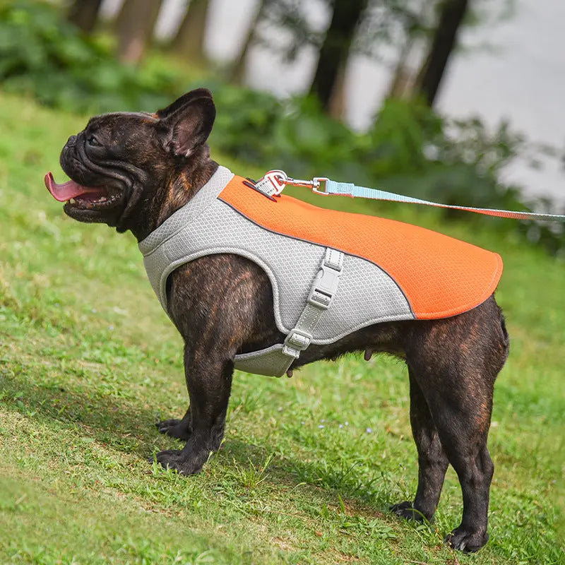 R&R™ Cooling harness Best Seller! Limited Stock Available