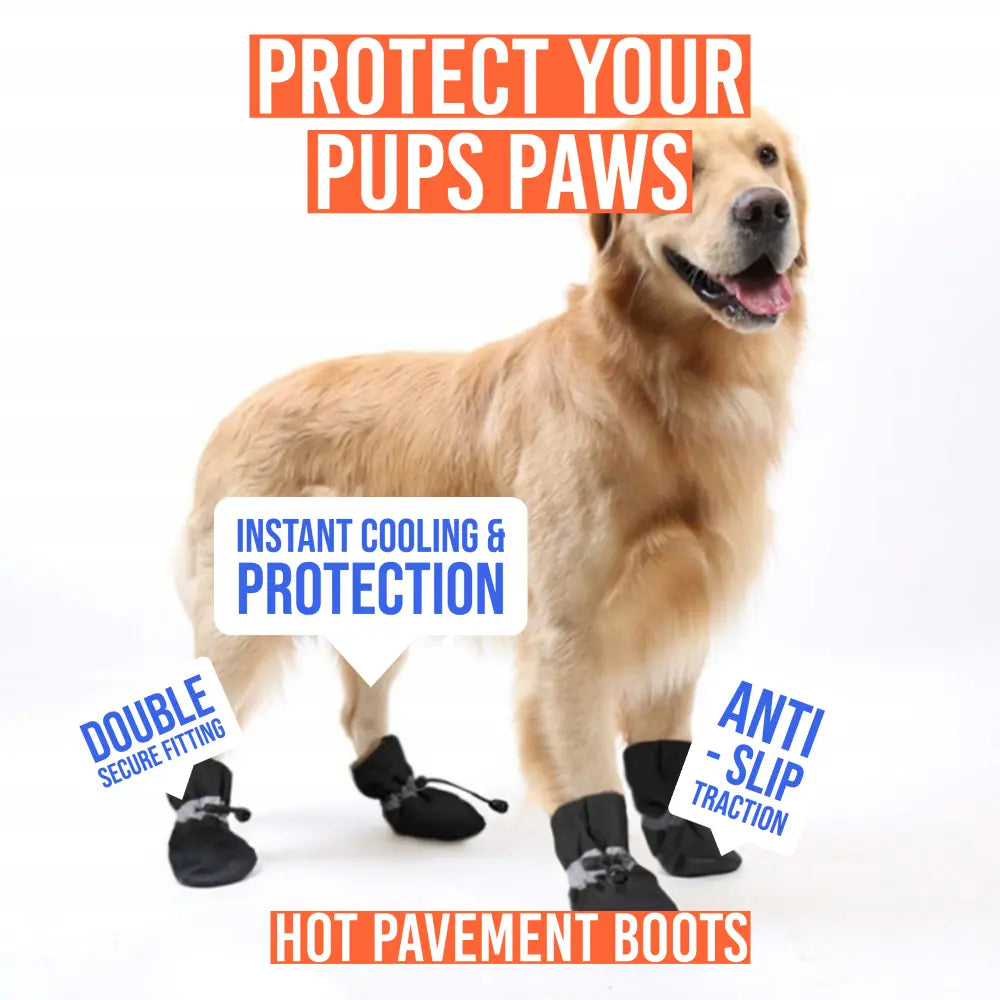 R&R™ HOT pavement boots Paws are sensitive & burn at temps over 30°C