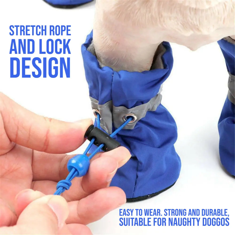 R&R™ HOT pavement boots Paws are sensitive & burn at temps over 30°C