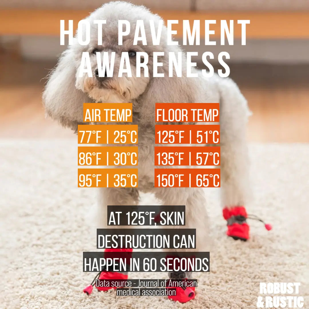 R&R™ HOT pavement boots Paws are sensitive & burn at temps over 30°C