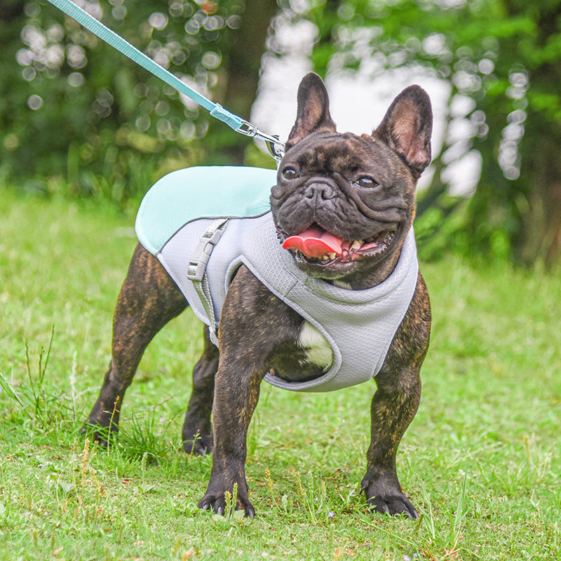 Hifrenchies Cooling Vest Harness for Dogs French Bulldog Summer